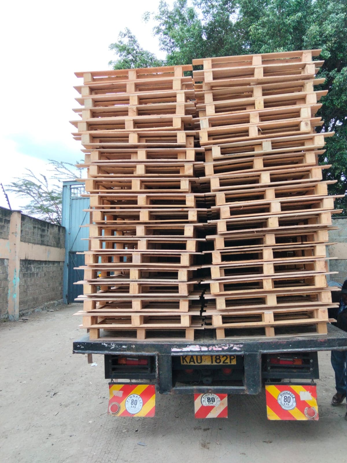Wood or plastic? Choosing the right pallet for your cargo