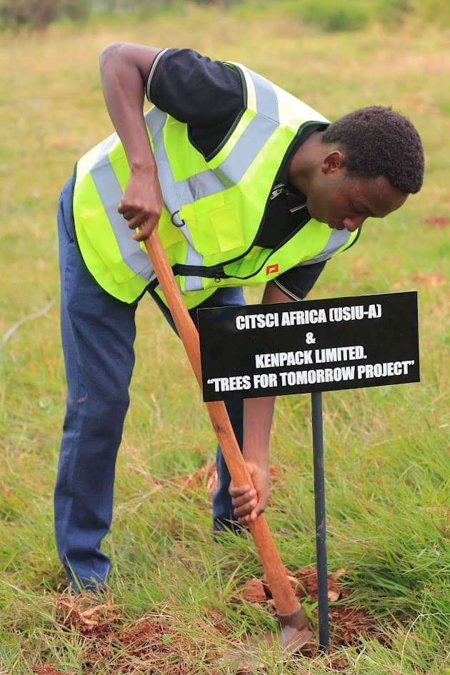 Trees for Tomorrow: packaging and our renewable promise