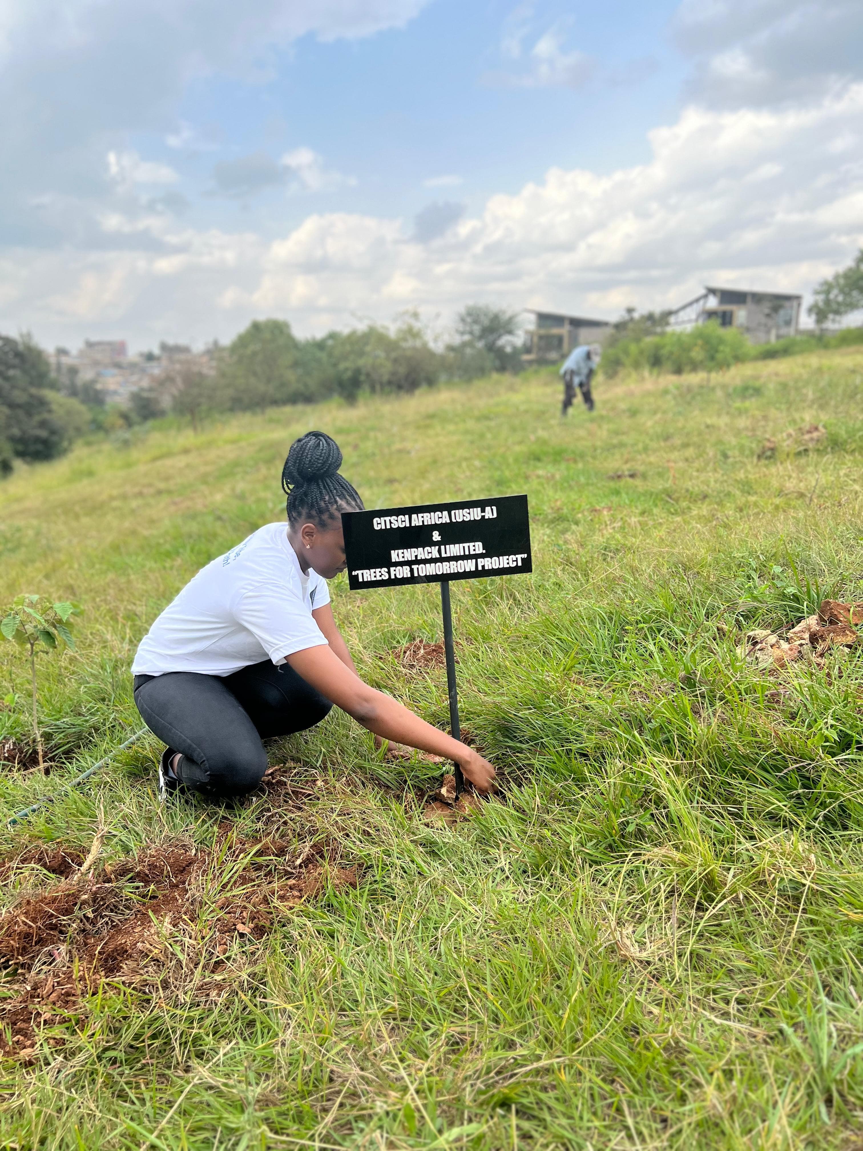 Kenpack staff planting trees under the Trees for Tomorrow project