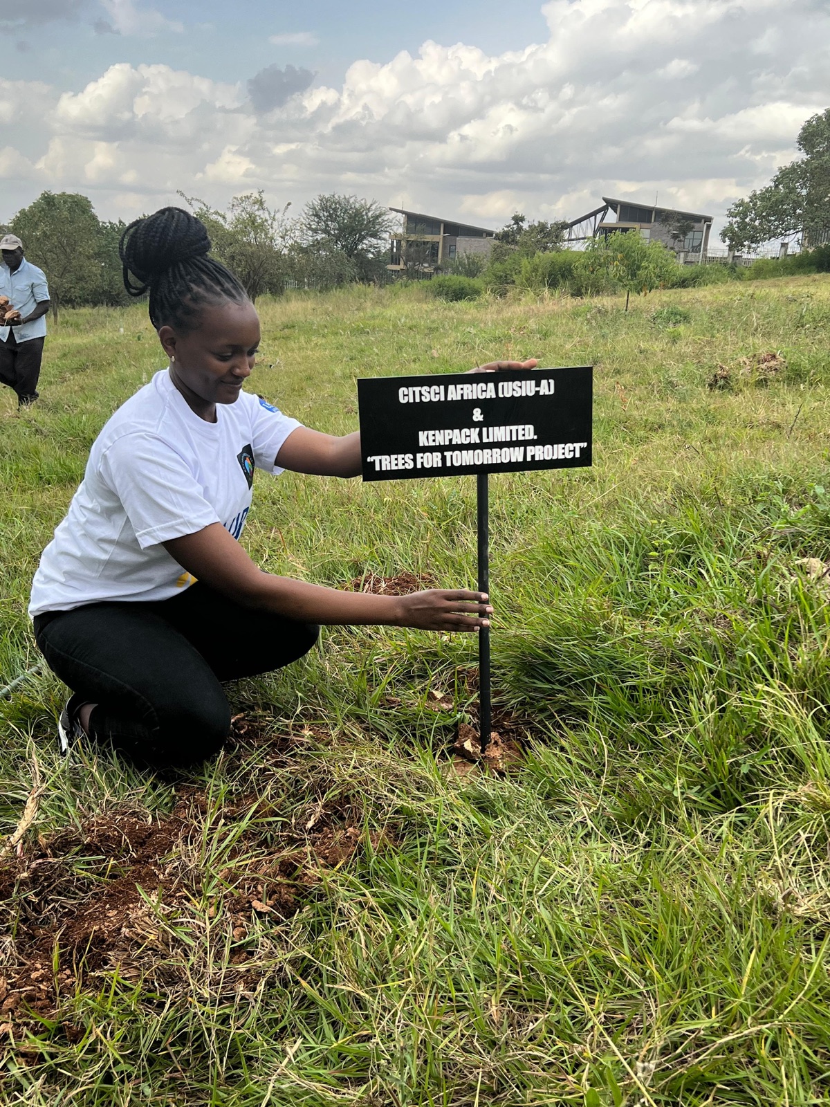 Tree seedlings planted to support sustainable packaging