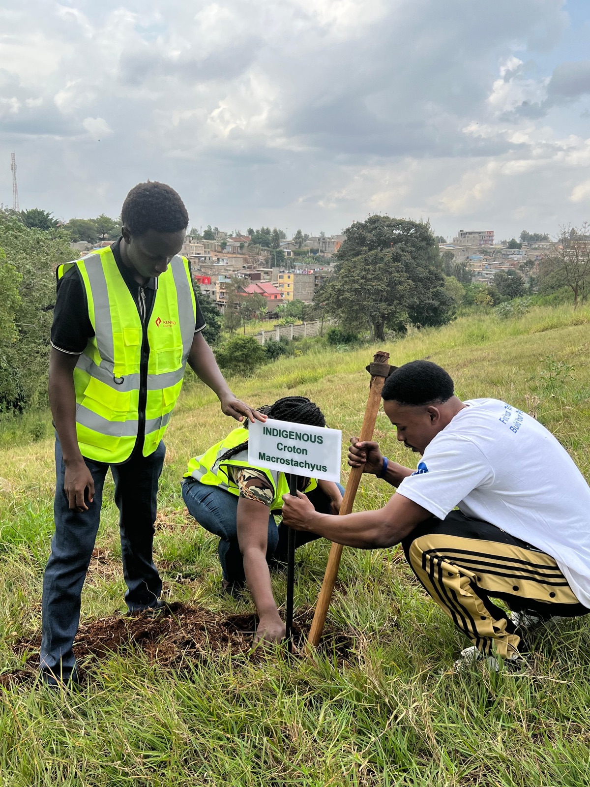 Tree-planting day supporting renewable timber for packaging