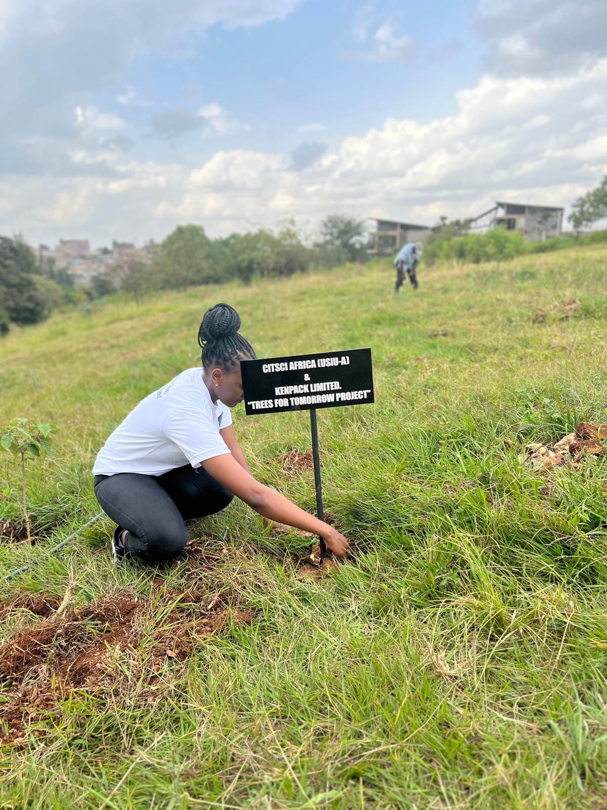 Kenpack staff planting trees to renew the forests its packaging comes from